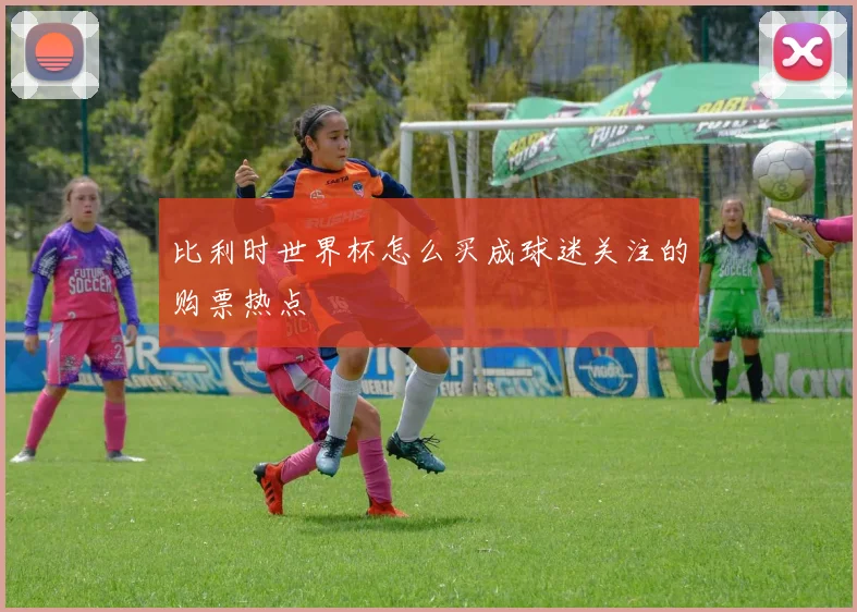 比利时世界杯怎么买成球迷关注的购票热点