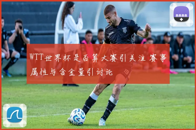 WTT世界杯是否算大赛引关注 赛事属性与含金量引讨论