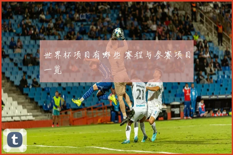 世界杯项目有哪些 赛程与参赛项目一览