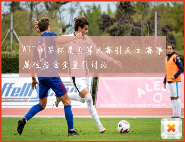 WTT世界杯是否算大赛引关注 赛事属性与含金量引讨论