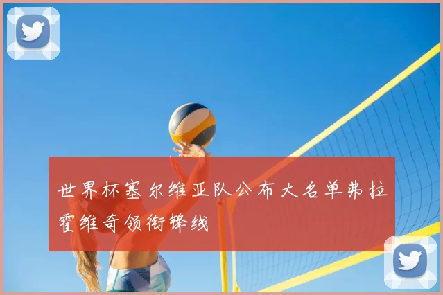 世界杯塞尔维亚队公布大名单弗拉霍维奇领衔锋线